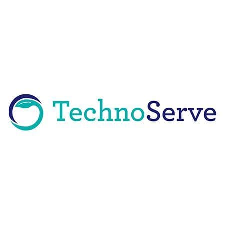 TechnoServe logo featuring a circular icon with teal and dark blue colors.