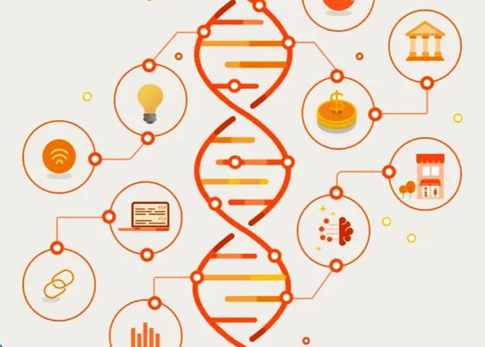 Supporting innovations shaping the next chapter in community finance