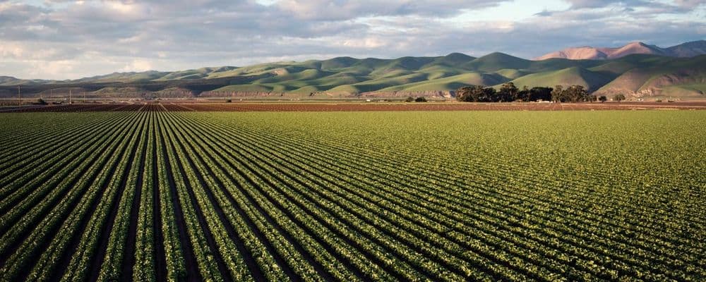 Rows of green crops stretch across a vast agricultural field toward distant mountains.
