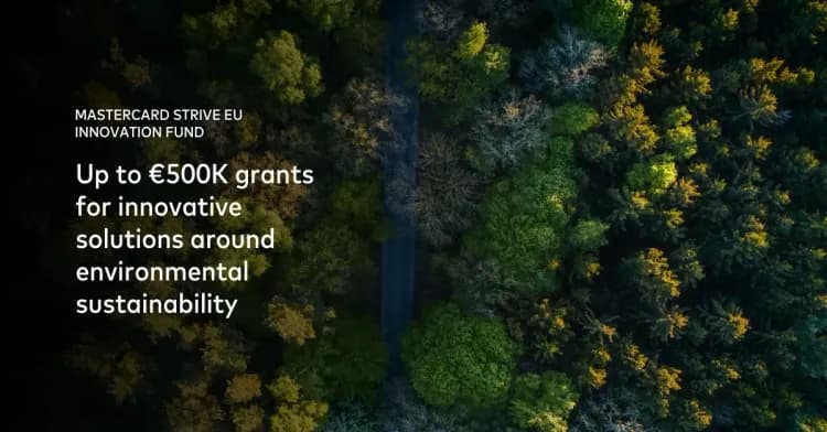 Grants available to help small businesses manage rising sustainability demands