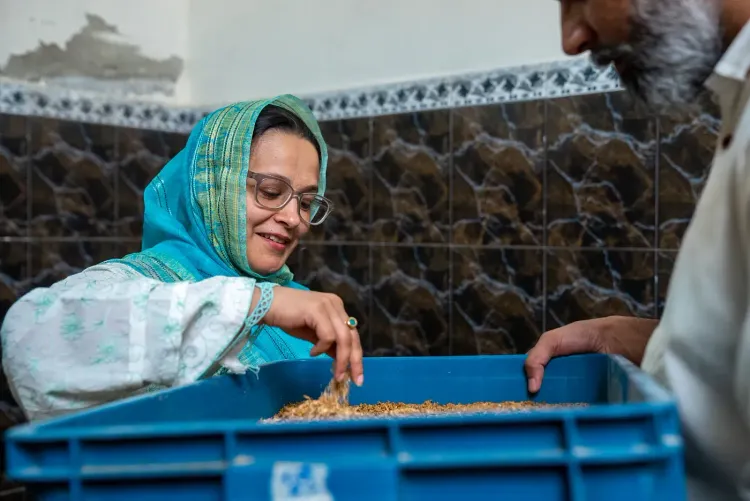 What Mastercard Strive is learning about digital solutions to improve access to finance for small businesses worldwide