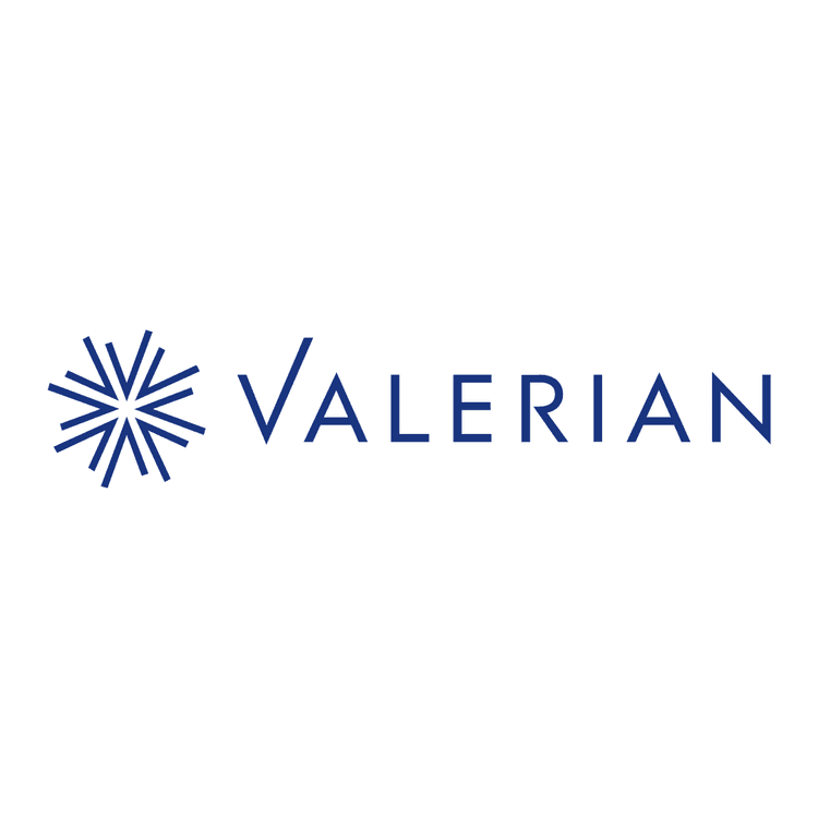 Valerian logo featuring a blue starburst icon and the company name.